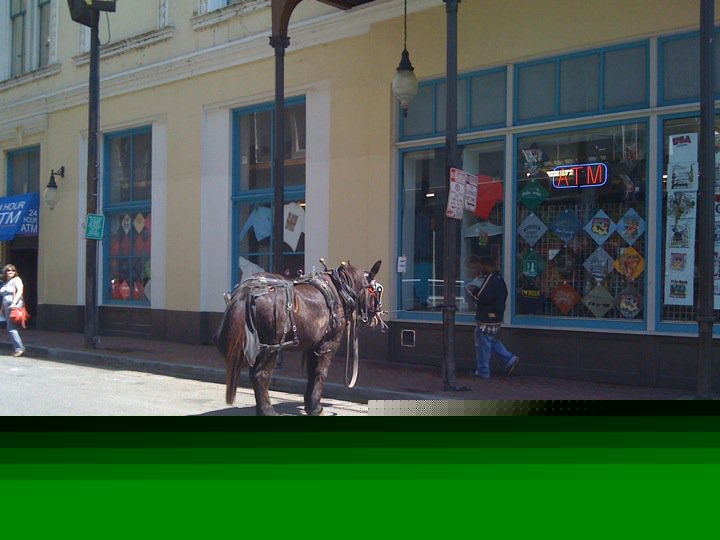 minipony