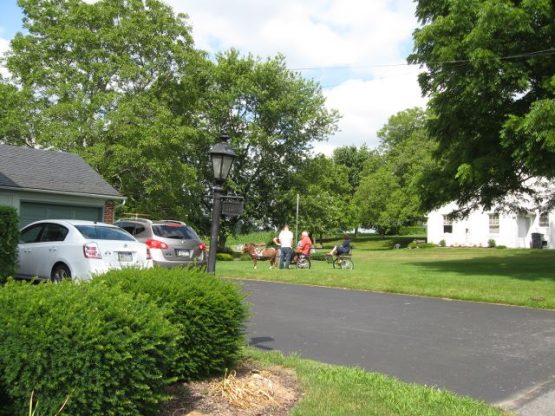 miniponycartdougmanheimjune2012