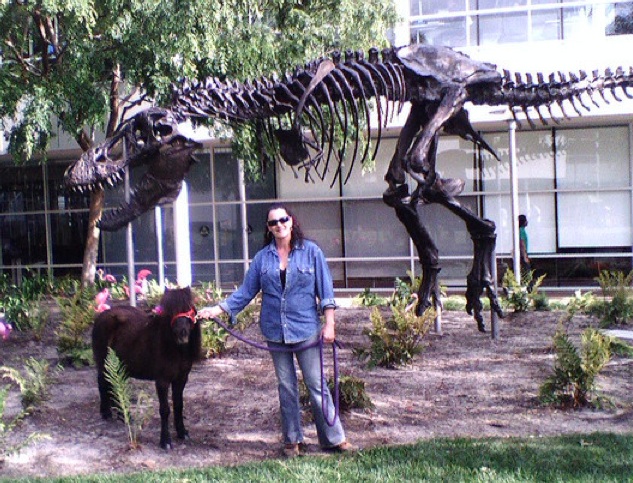 miniponygoogletrex