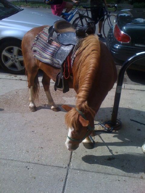 miniponyparkingbikerack