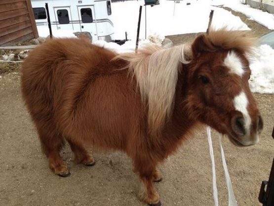 misterbuddydreamdawnspencemo