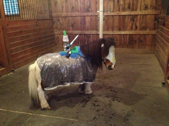 misterbuddyhalloweenspencemo