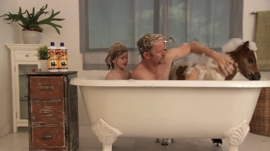 morganspurlockpomwonderfulminihorsetubjason