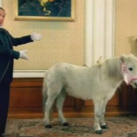 netflix_wii_minipony
