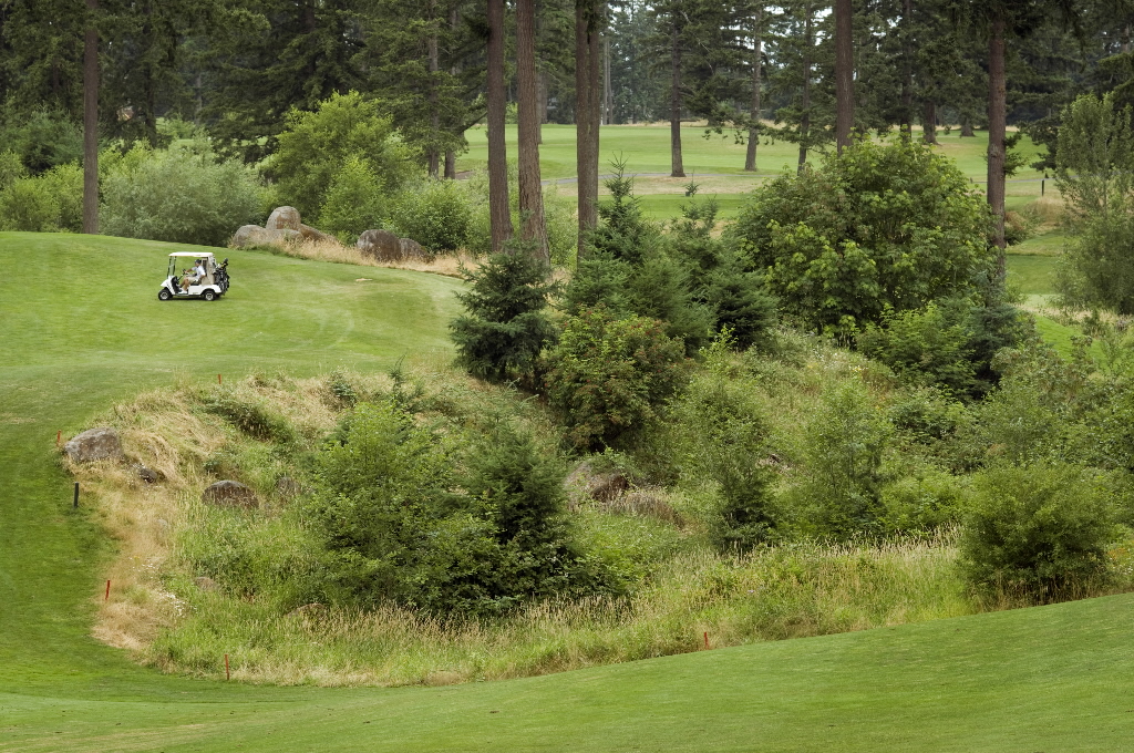 OregonGolf