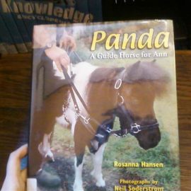 pandaminihorselibrarybookdana1