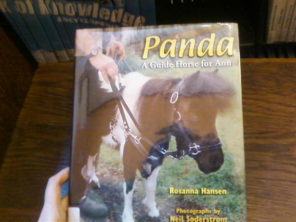 pandaminihorselibrarybookdana1