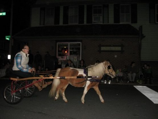 parademiniponiesoctober2012doug3