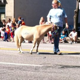 parademiniponiesrnewpher1