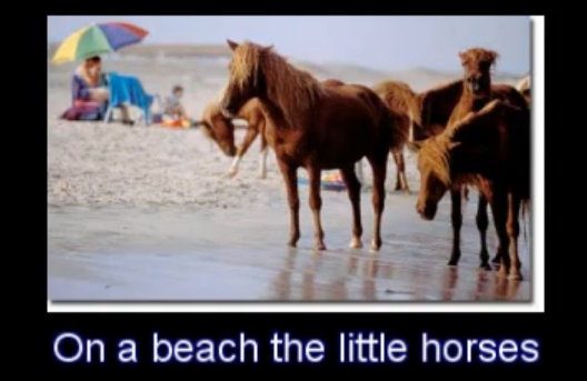 pearljamyellowledbetterlittlehorsesadam
