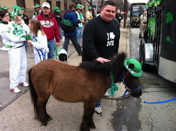 pghstpattysminiponymikeybob1