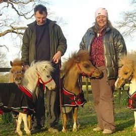 phorses2_1351353c