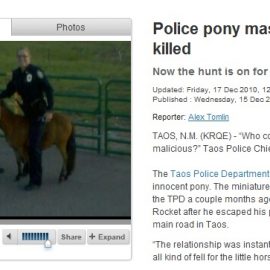 policeminiponykilled