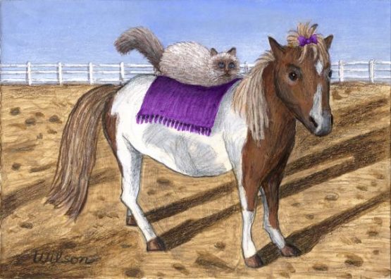 pony-lil-and-cat-annie-carol-wilson