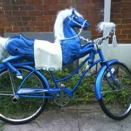 ponybike