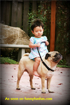 pugminiponykid
