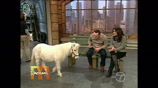 rachaelrayminihorseape2