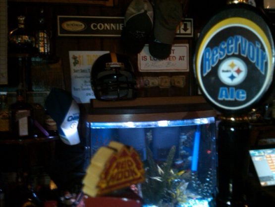 reservoirsteeleralenyc
