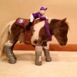 roozerbrewsjockeymatthewdibblydibbly