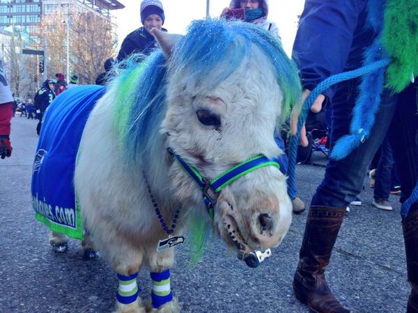 seahawksminiponyfredKOMOrovellmaggiemichael