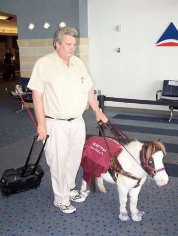 seeingeyepony