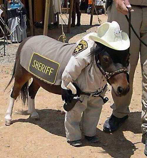 sheriffminipony