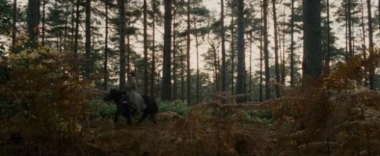 sherlockholmesminiponyusbzoso