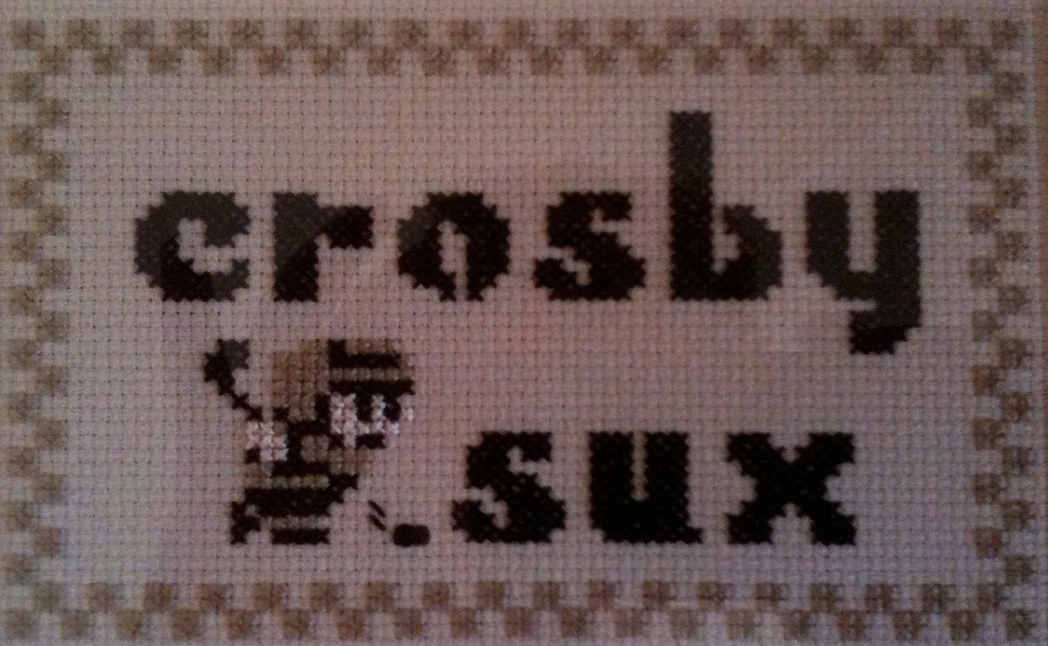 sidneycrosbysuckssuxetsycrossstitch