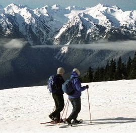 Snowshoe