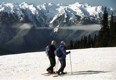 Snowshoe