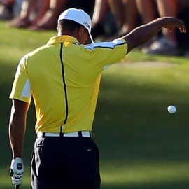TigerWoodsDrop