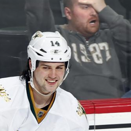 Wildfan