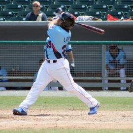 tennessee smokies
