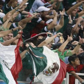 Soccer: World Cup-Mexico vs Cameroon
