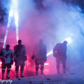 coyotes draft party-5