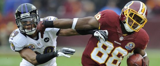 Pierre Garcon, Cary Williams