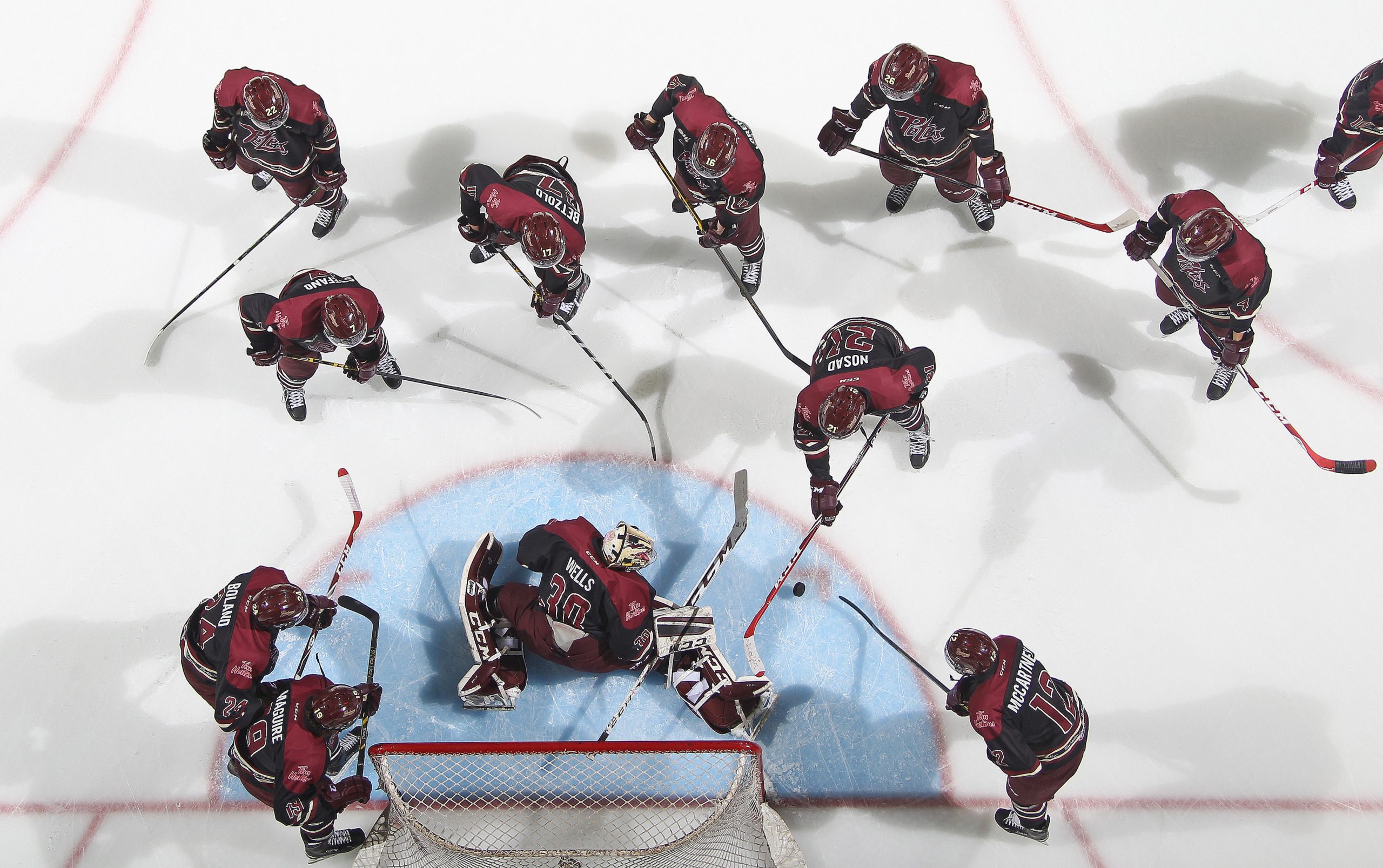Peterborough Petes v London Knights