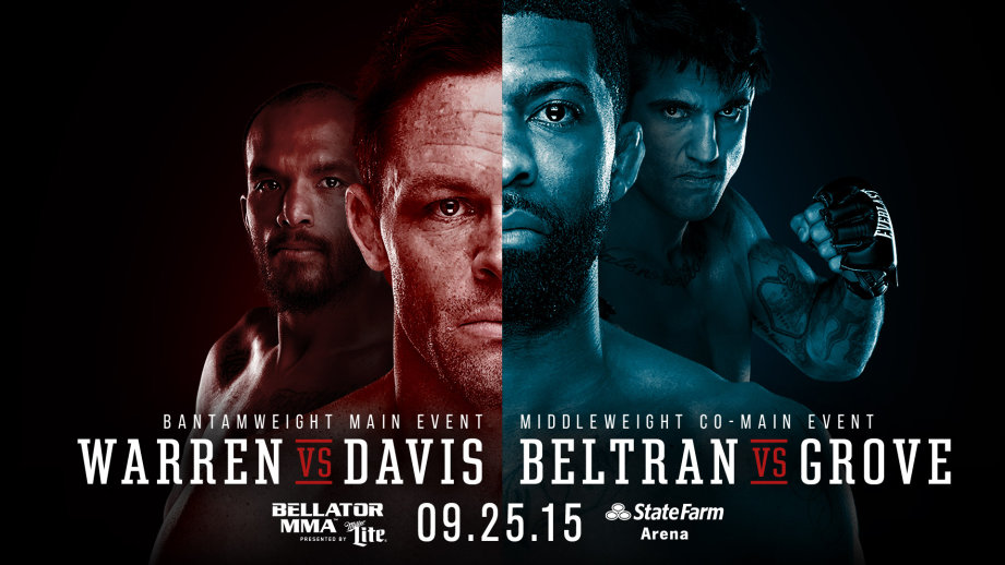 warren vs davis poster