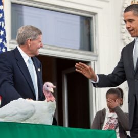 Obama turkey