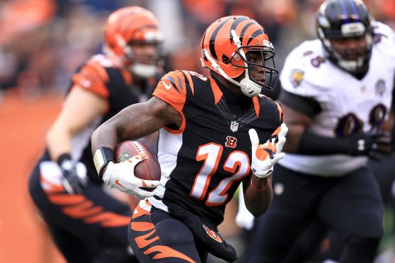 Baltimore Ravens v Cincinnati Bengals