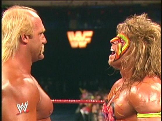 hogan-warrior-