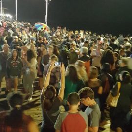 Pokemon Go Crowd