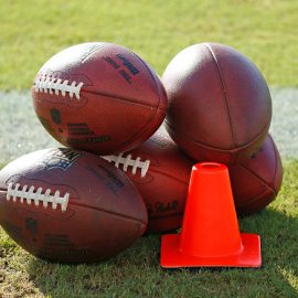 Miami Dolphins Training Camp