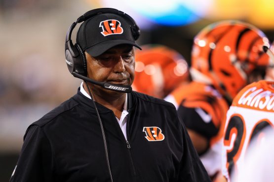 cincinnati bengals