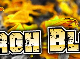 blitzburgh-blog-logo