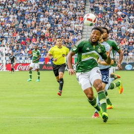 Timbers