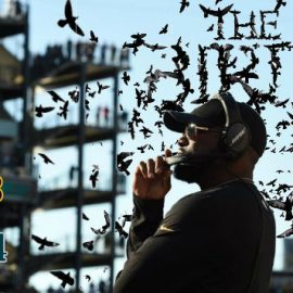 birds