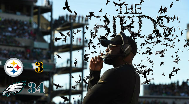 birds