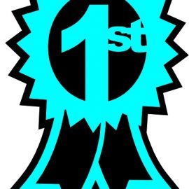 1st_place_ribbon__94822-1311693785-1280-1280