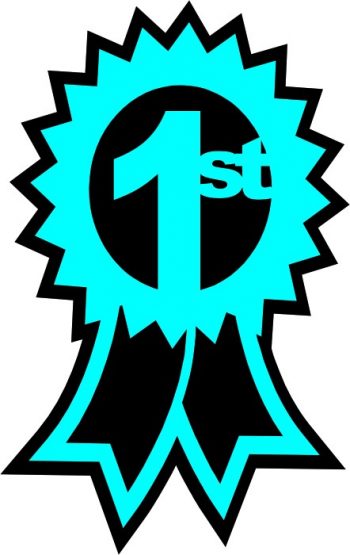 1st_place_ribbon__94822-1311693785-1280-1280